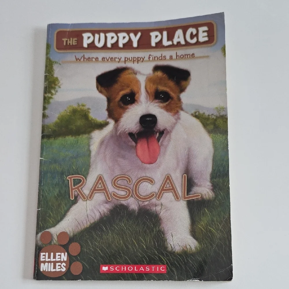 Children's Chapter Book Set Of 6 - Young Readers
